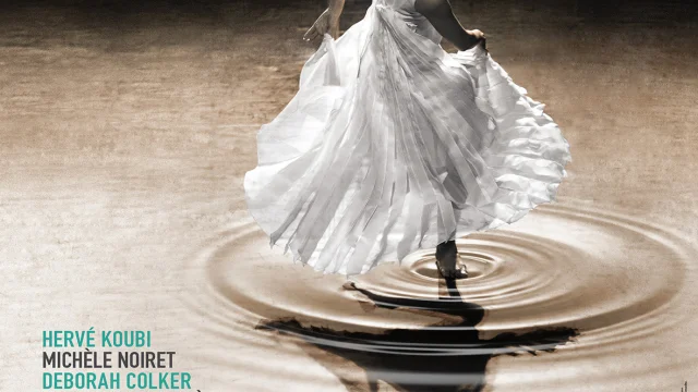Festival-de-Danse-2015.jpg