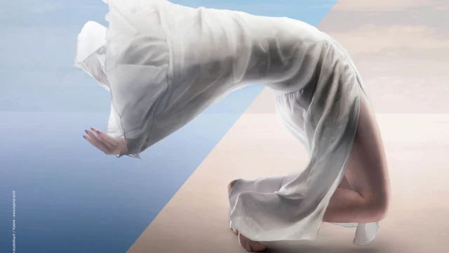 Festival-de-Danse-2017.jpg