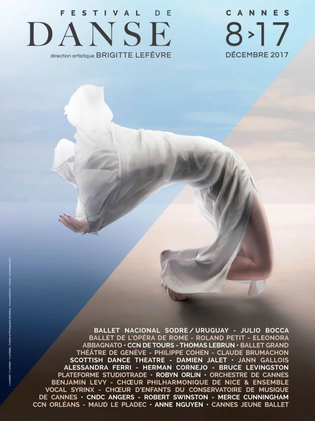 Festival-de-Danse-2017.jpg