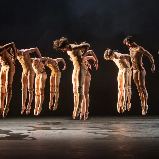 CE-Festival-de-Danse@gregory_batardon.jpg