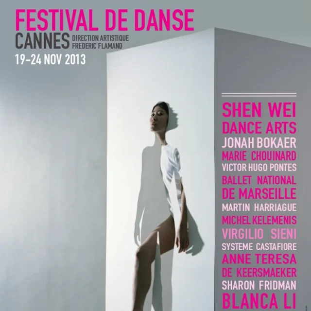 Festival-de-Danse-2013-1.png