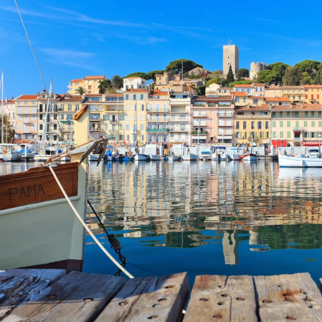 Le-Suquet-portSEMEC-FABRE.jpg